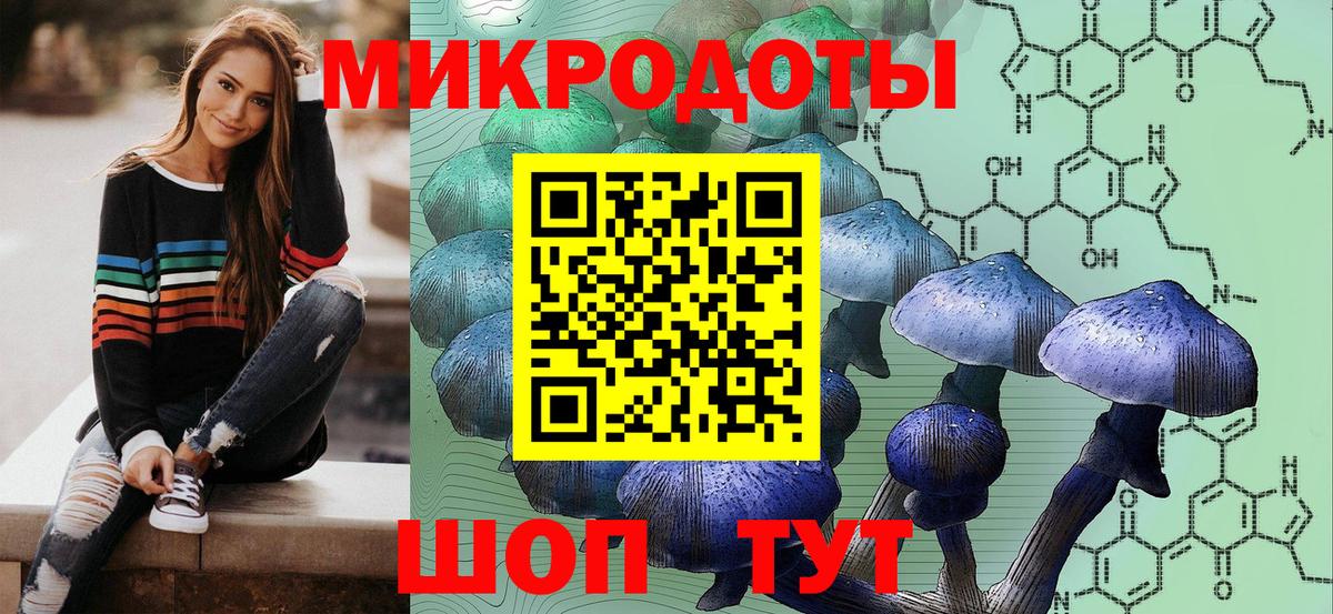Псилоцибиновые грибы Psilocybine cubensis Бузулук