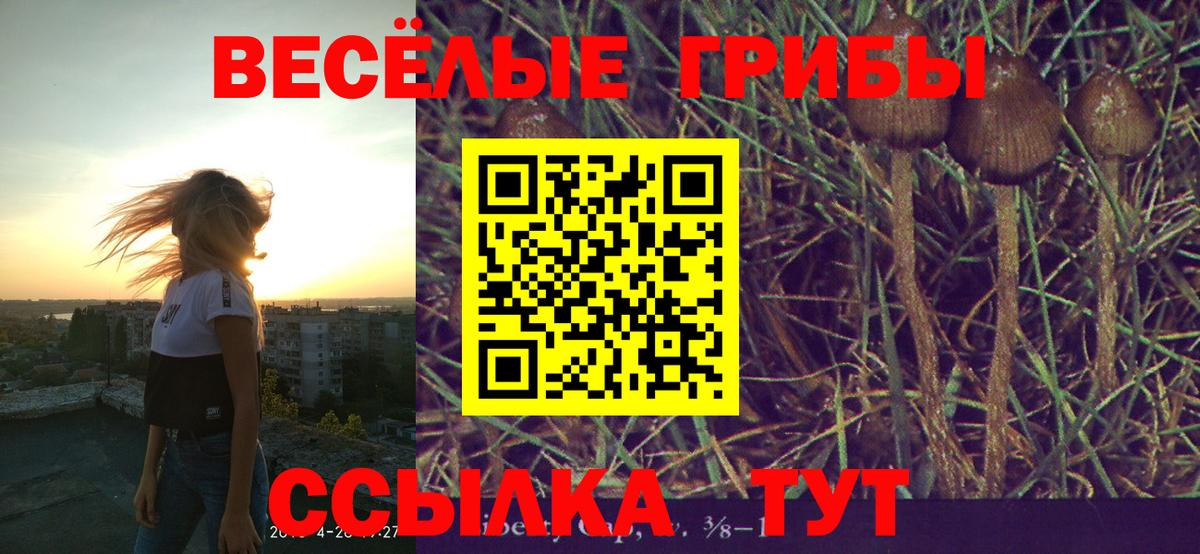 Галлюциногенные грибы мицелий  Псилоцибиновые грибы MAGIC MUSHROOMS  Вход с VPN  купить наркоту  Бузулук 